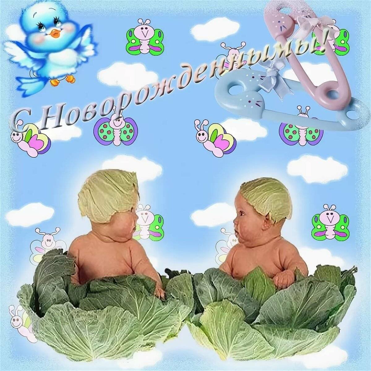 С рождением двойняшек