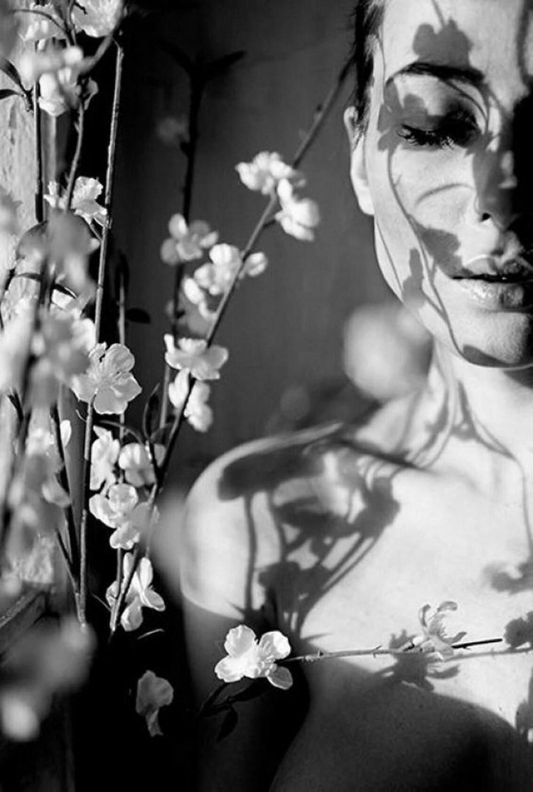 Эстетика Лина