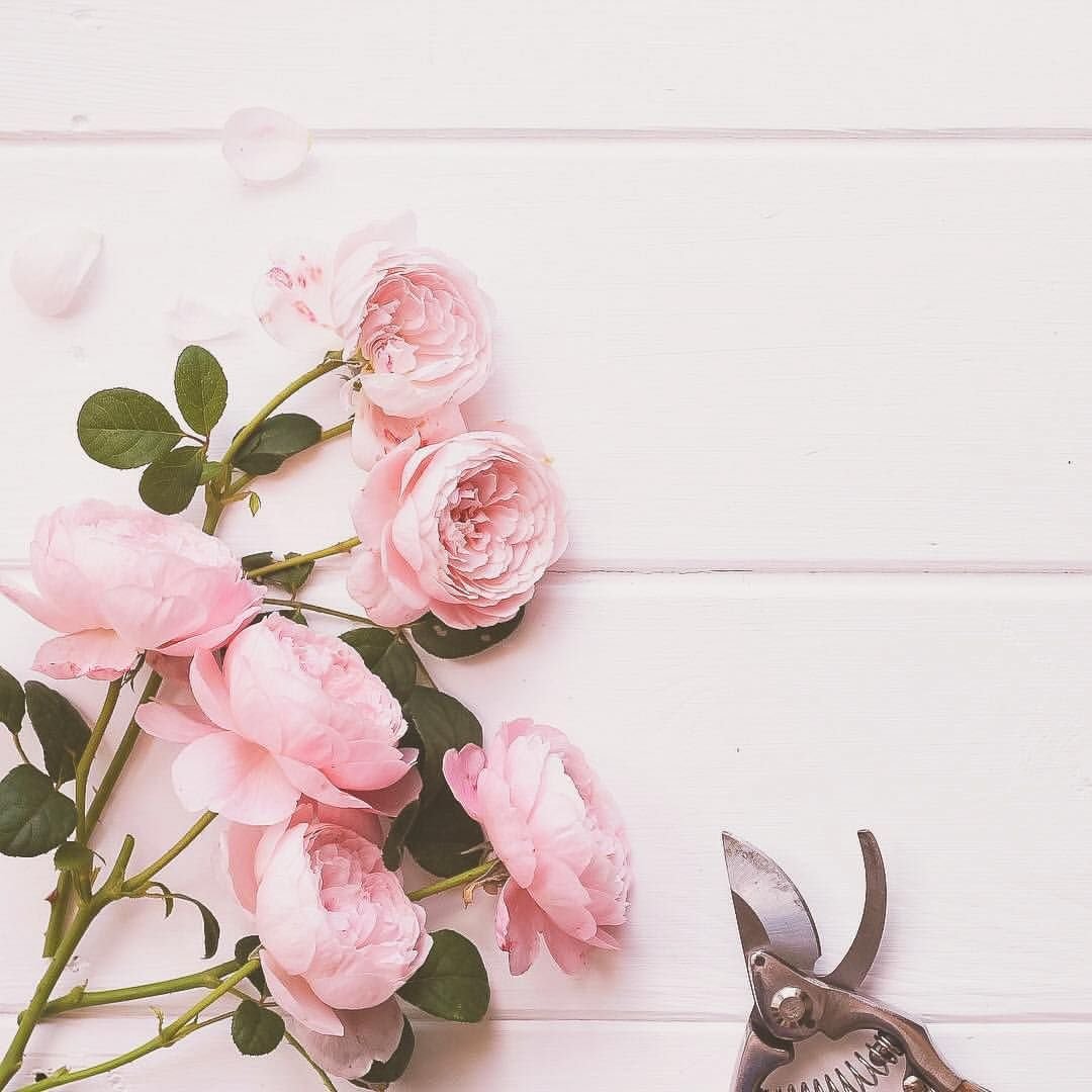 Красивый фон для поста в Инстаграм