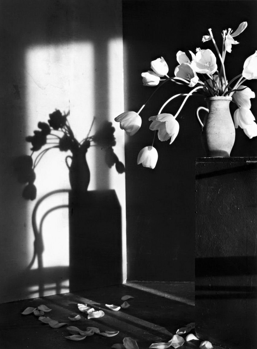 Christian Coigny фотограф