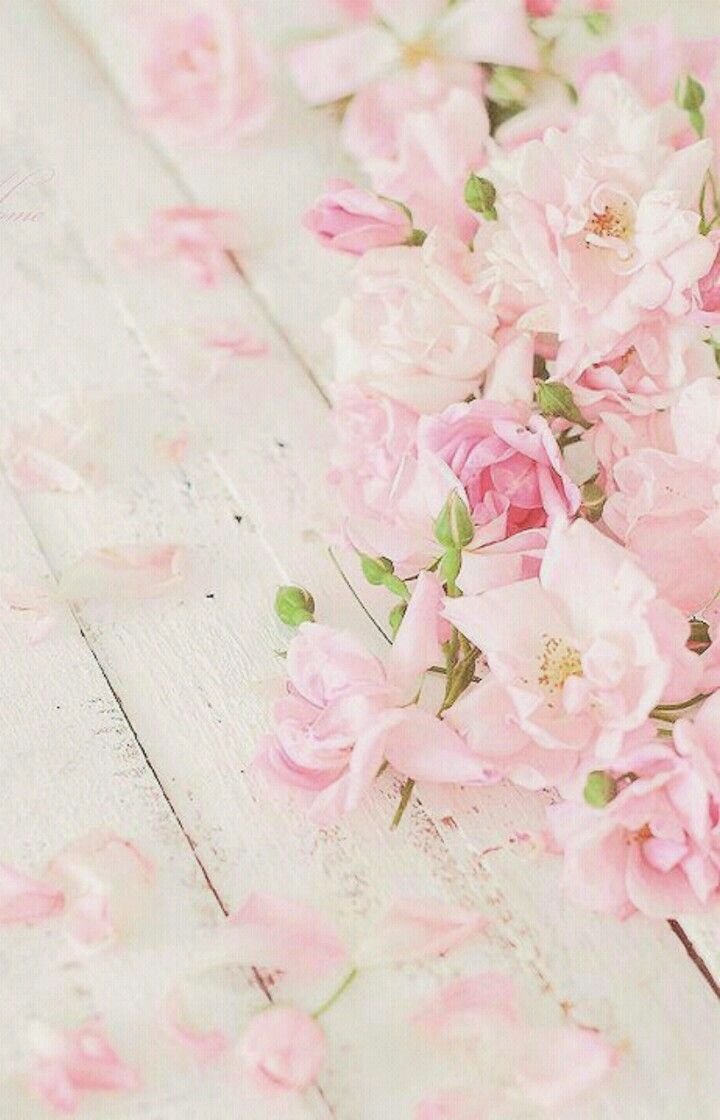 Нежный цветок