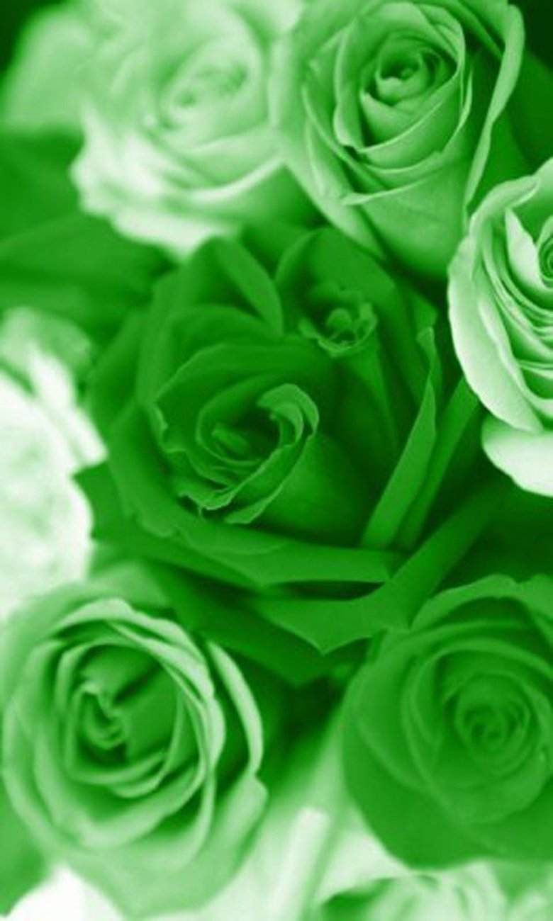 Роза Вайт Грин