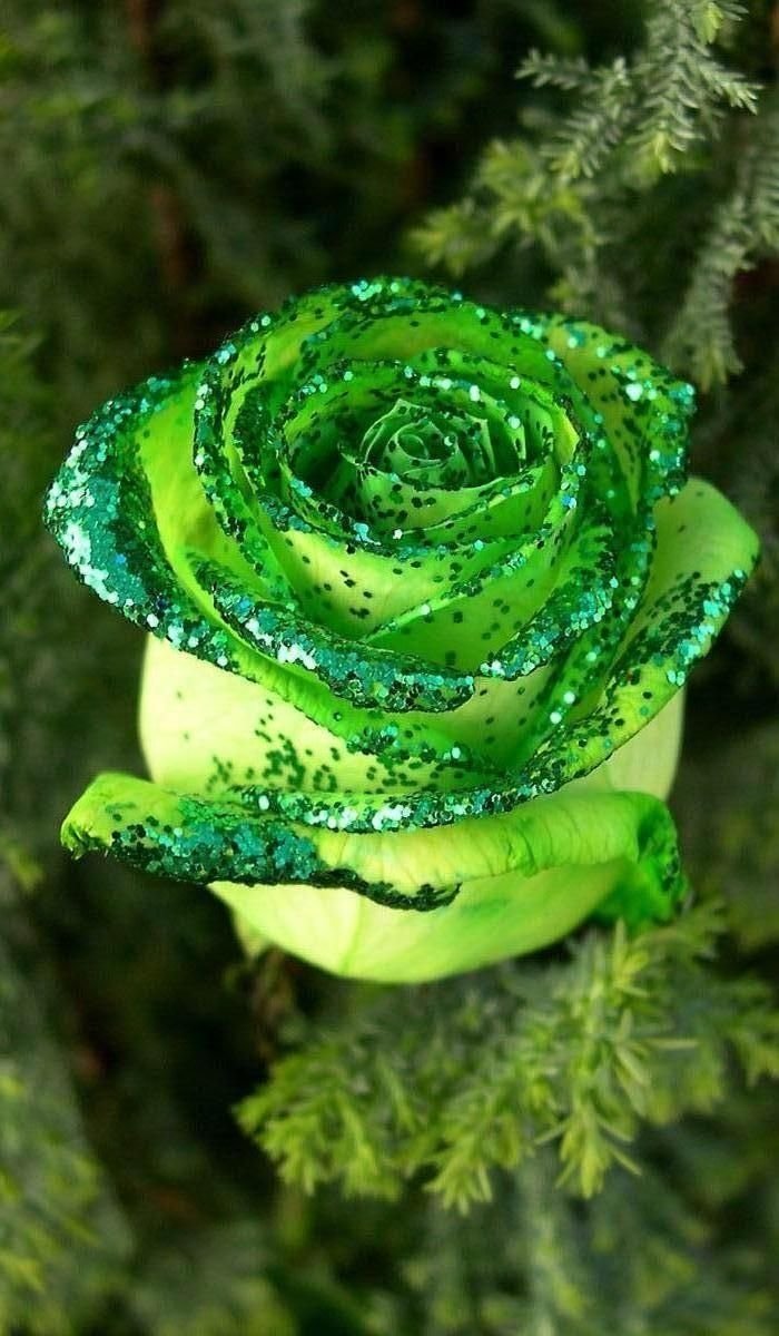 Изумрудный цвет Слизерина