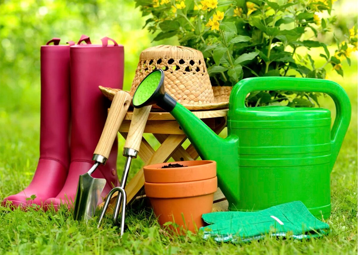 Сад огород овощи фрукты