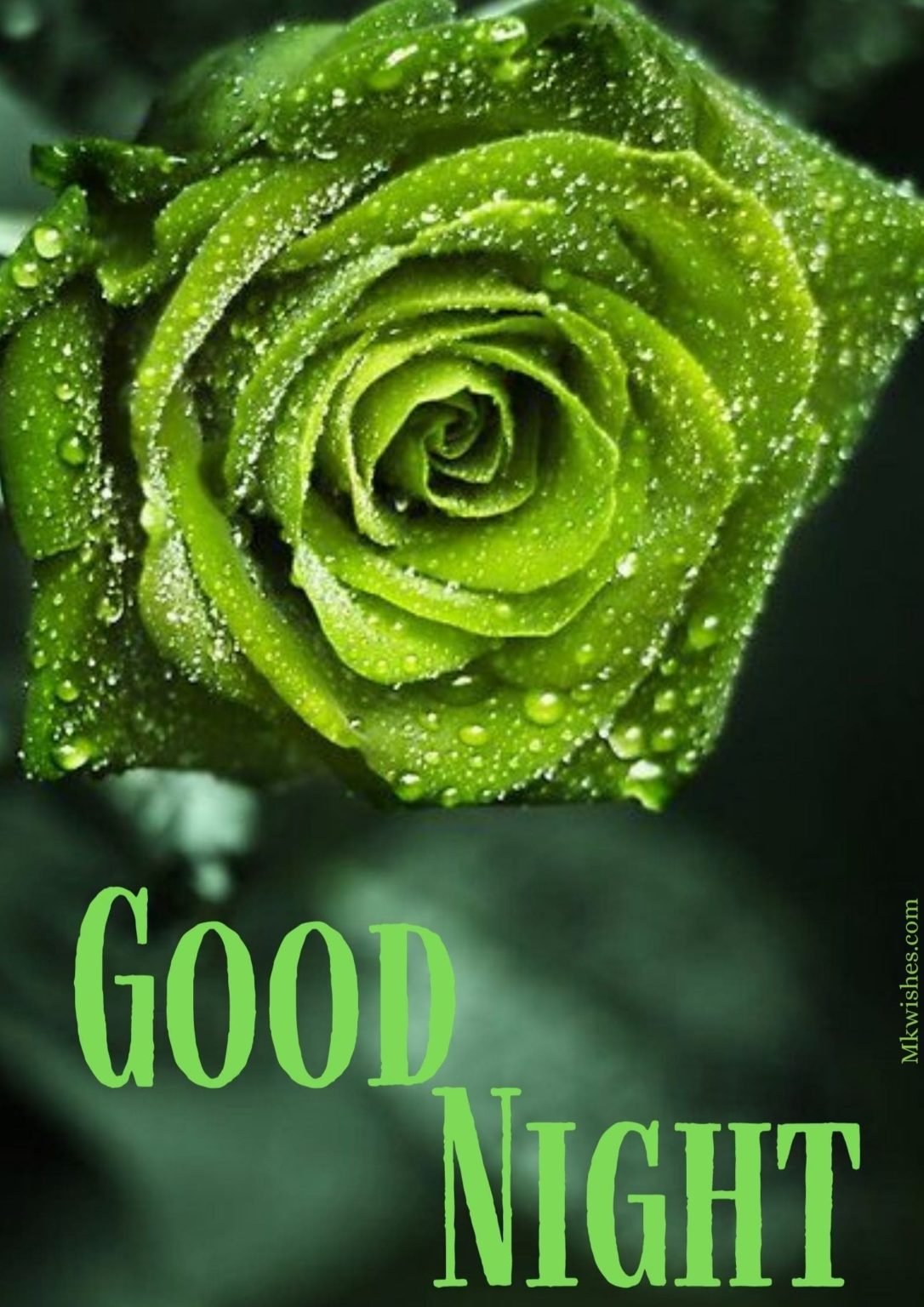 Грин Даймонд Green Diamond роза