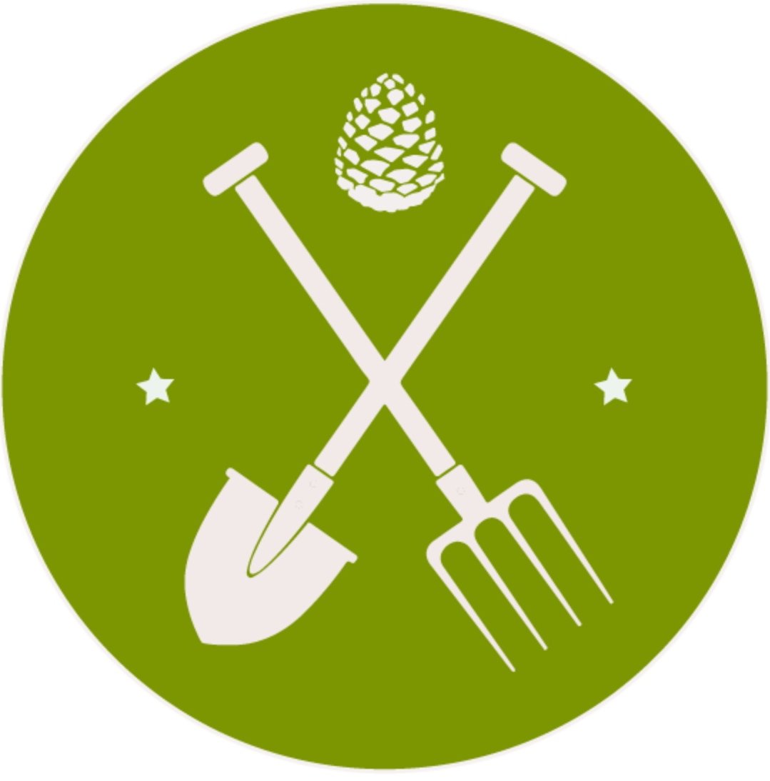 Овощи на грядке