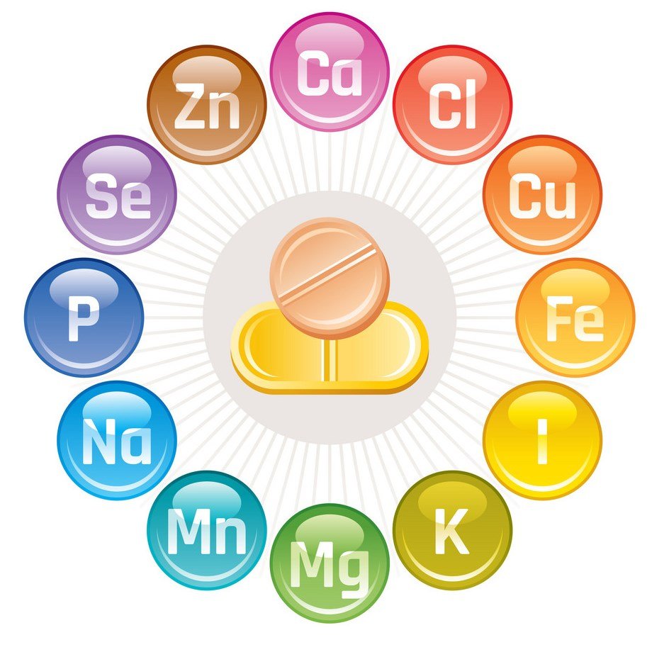 Витамины и минералы вектор