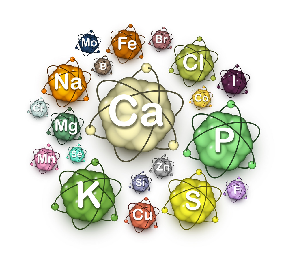 Минералы микро и макро элементы