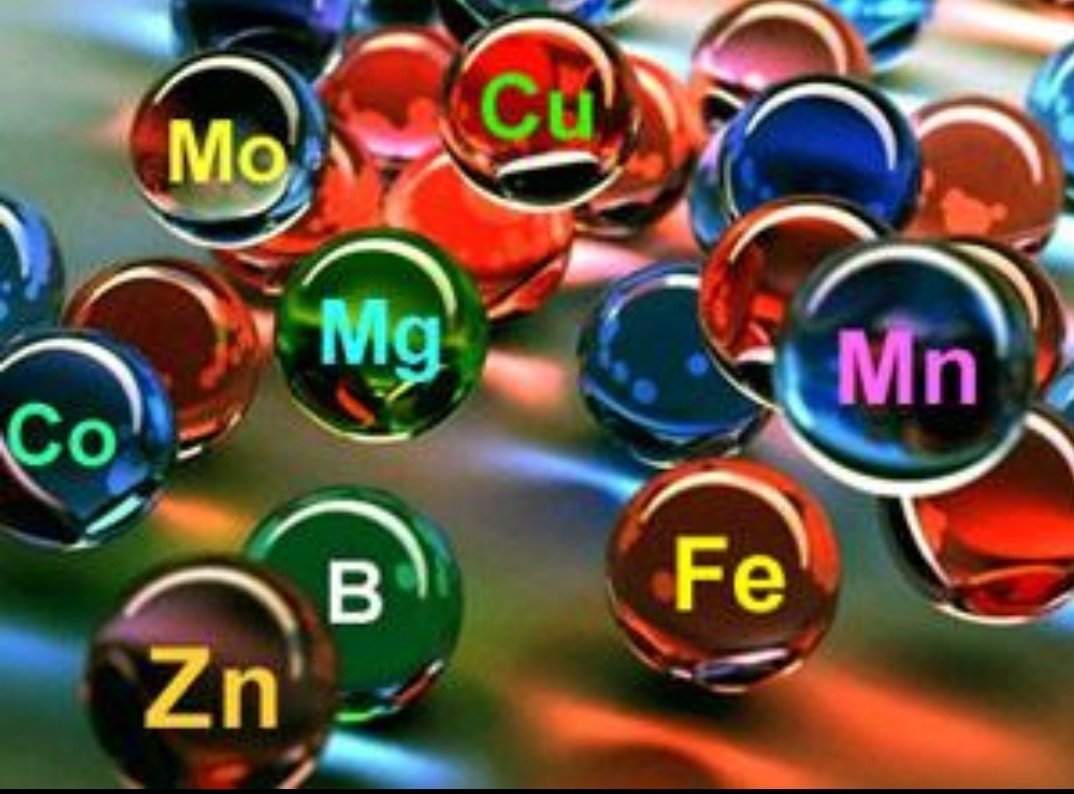 Минеральные вещества микроэлементы