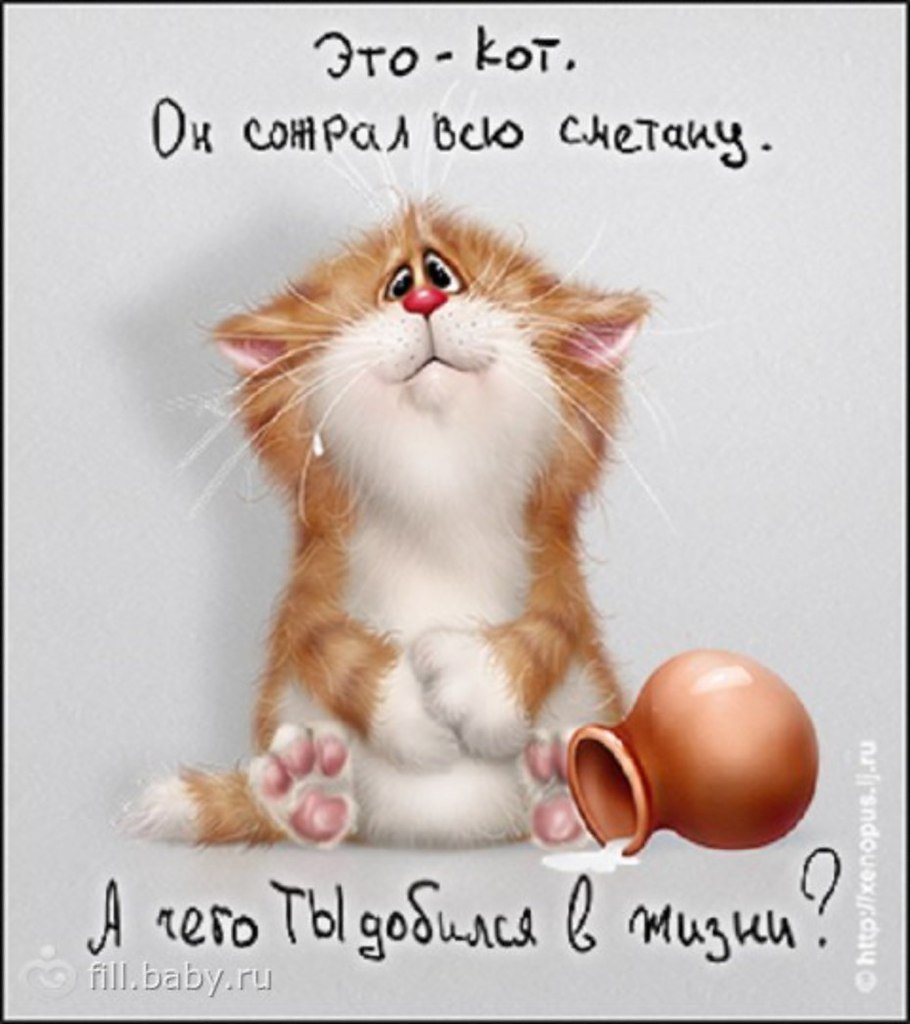 Прикольные коты с добрым утром