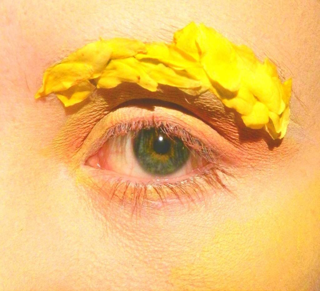 Желтые цветы Эстетика