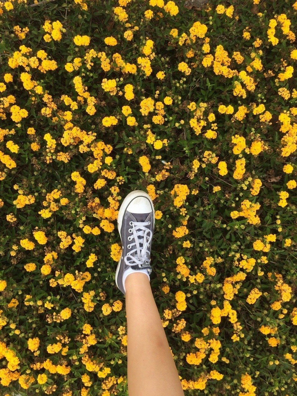 Тумблер желтый