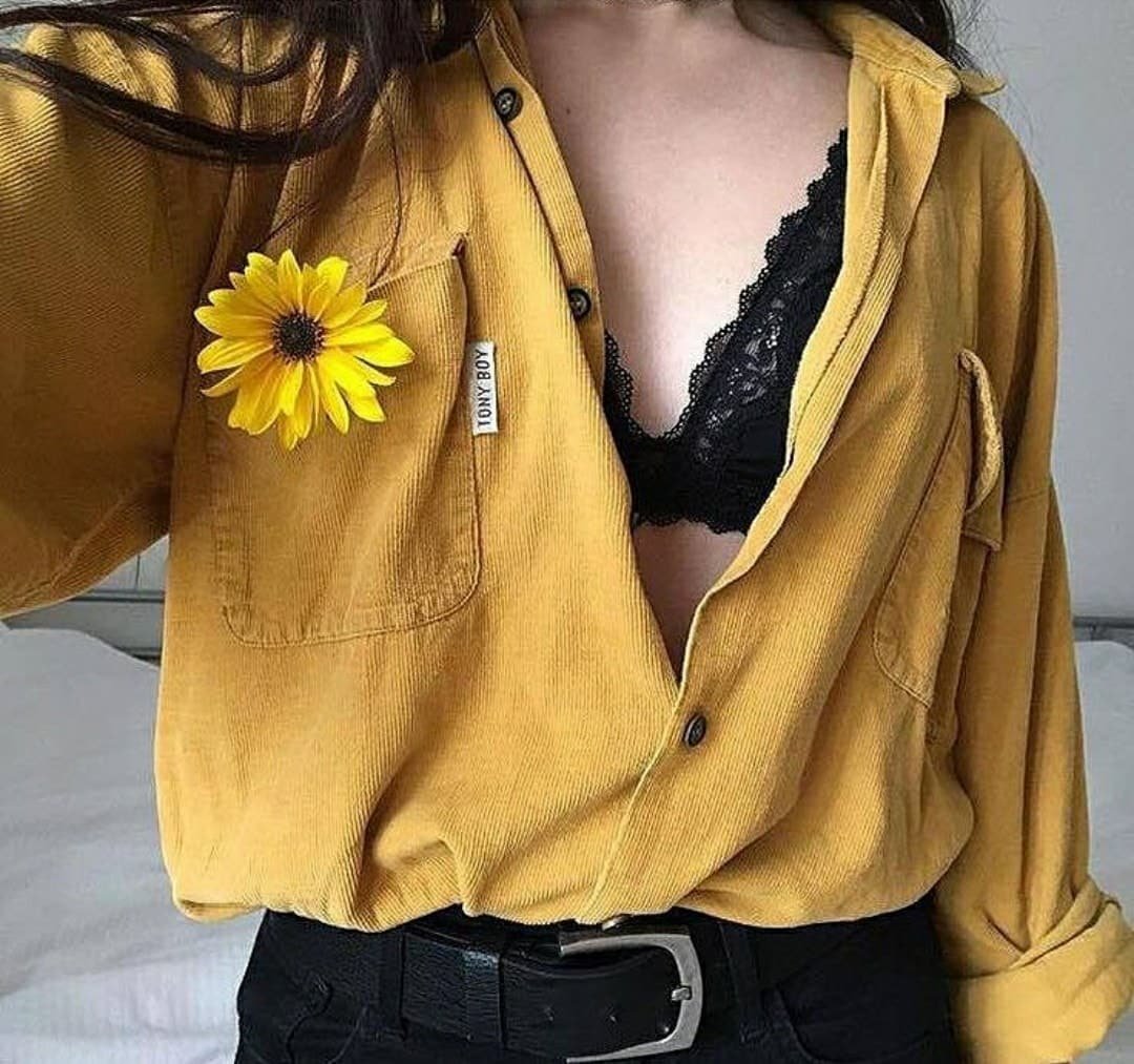 Желтая эстетикатетика