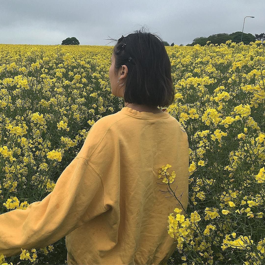 Эстетика жёлтого