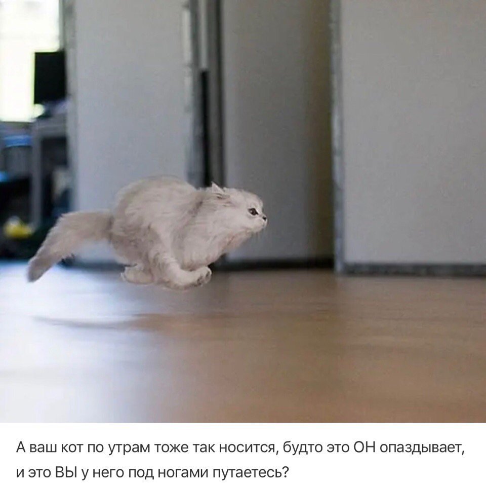 Бегу домой с работы