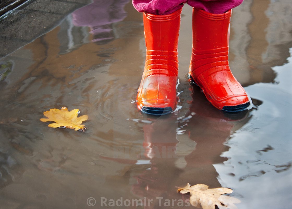 Сапожки резиновые с лужей