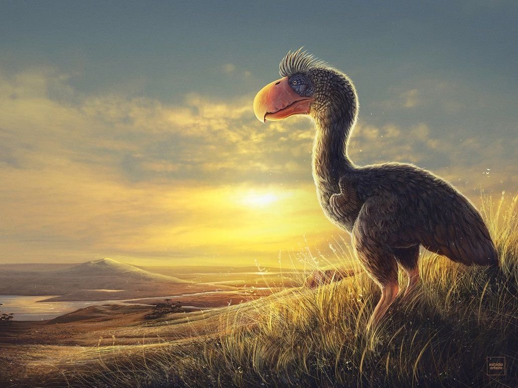 Веерохвостые птицы меловой период