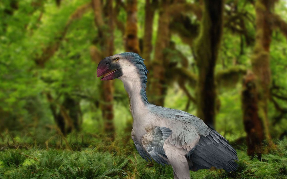 Птица динозавр