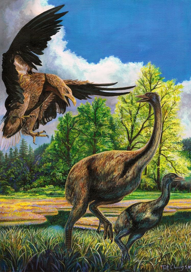 Юрский период Археоптерикс