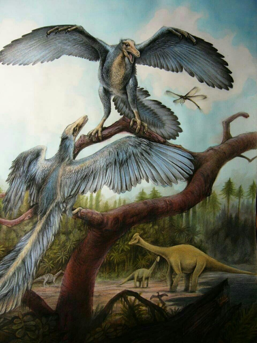 Титанис Уоллера