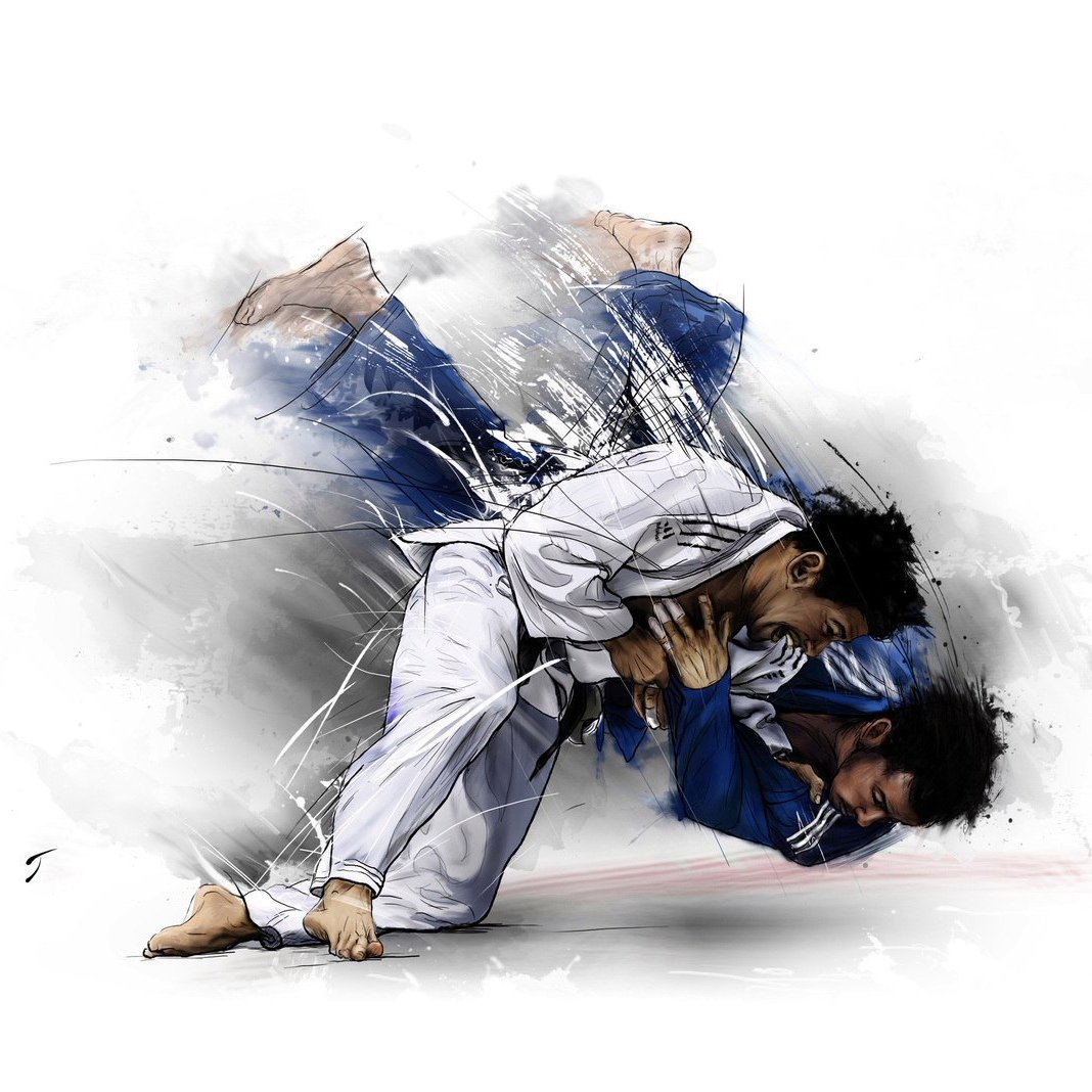 Борцы дзюдо вектор