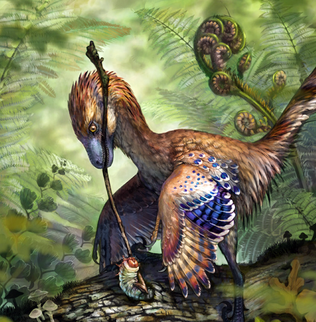 Картинки древние птицы