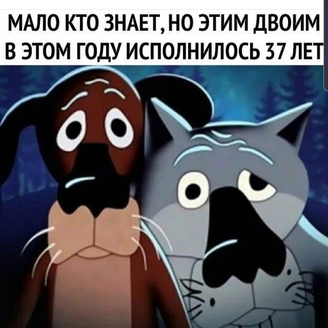 Вок из мультфильма жил был пес