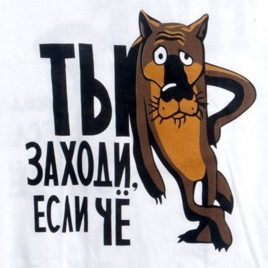 Волк ты заходи если что