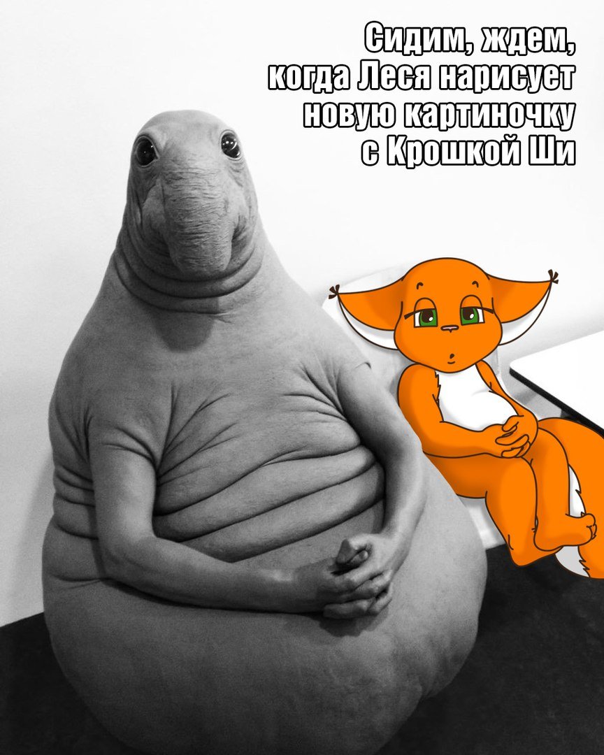 Сижу сложив ручки на пузике и ждёшь чуда