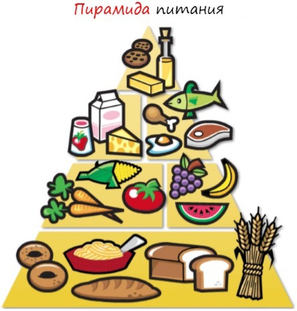 Healthy food рисунок