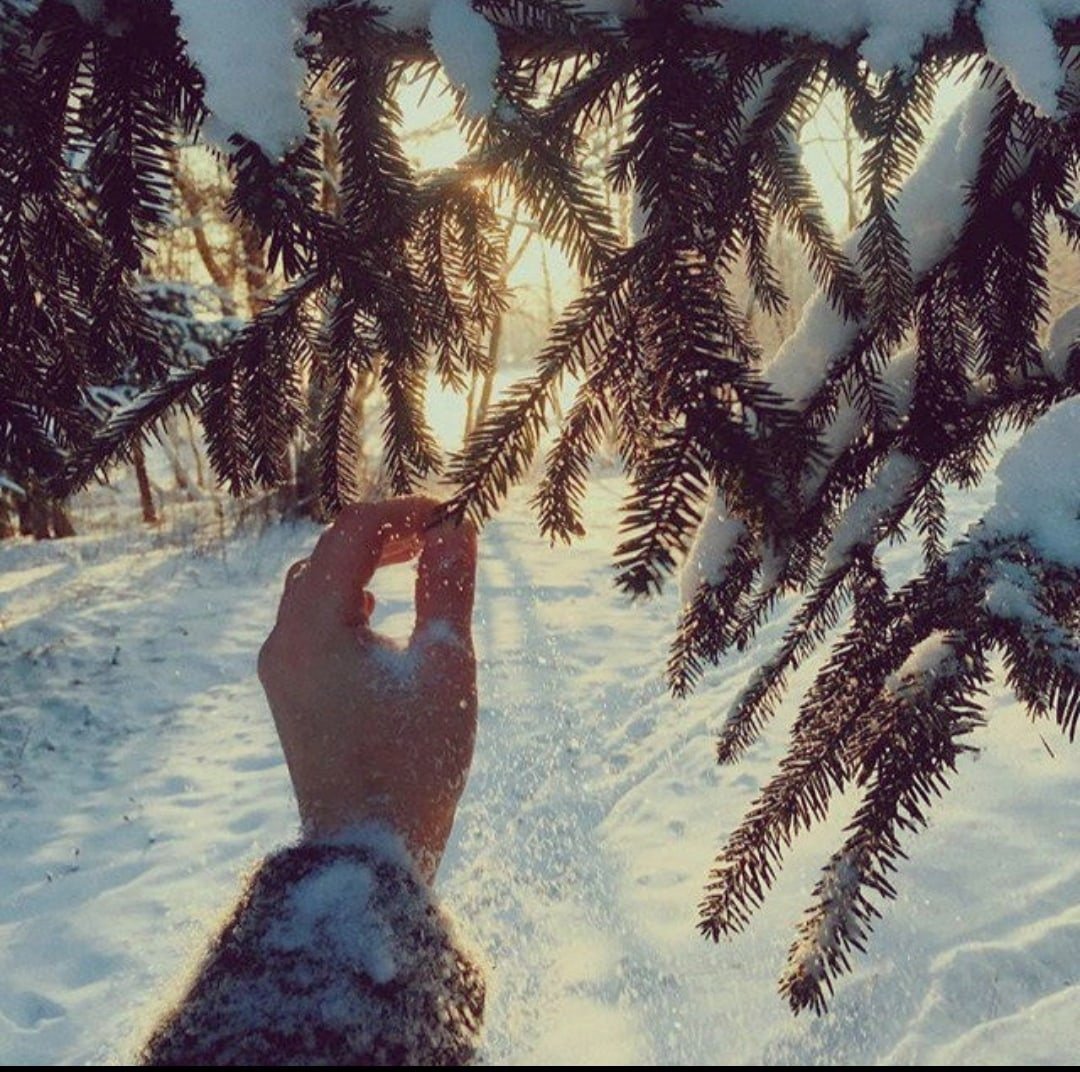 Цитаты про новый год