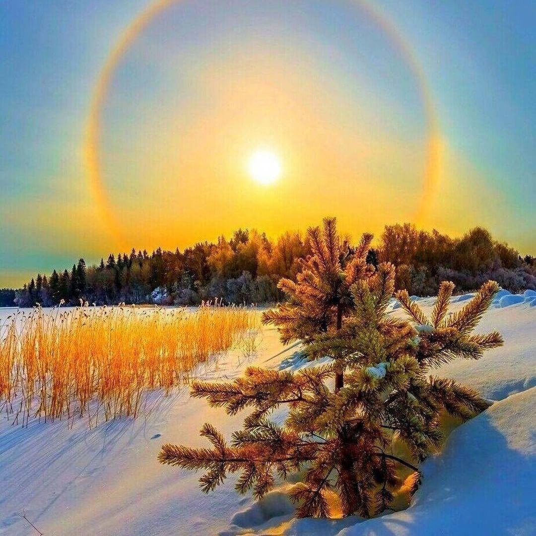 Чашечка кофе зимой