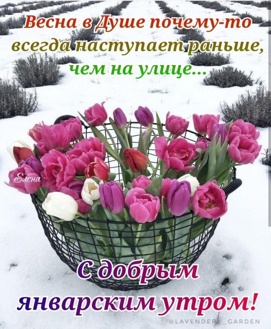 Доброе зимнее утро хорошего дня и отличного