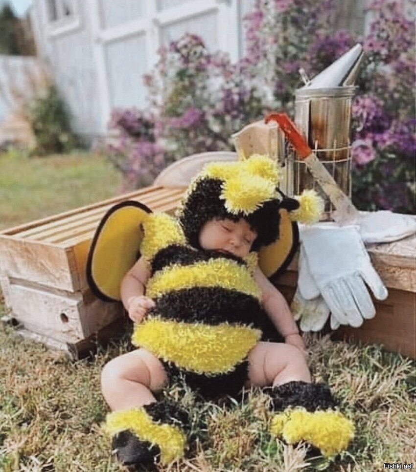 Пчелки на цветах