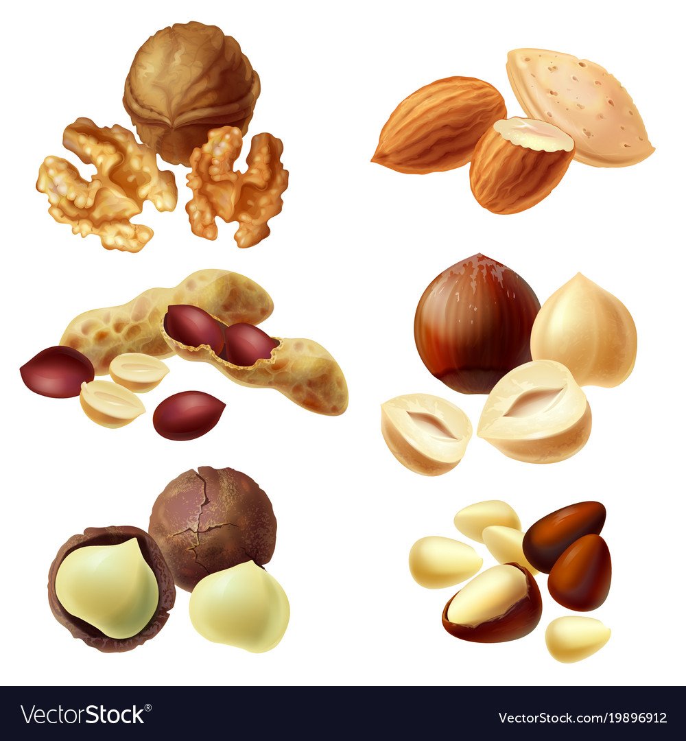 Орех на прозрачном фоне вектор