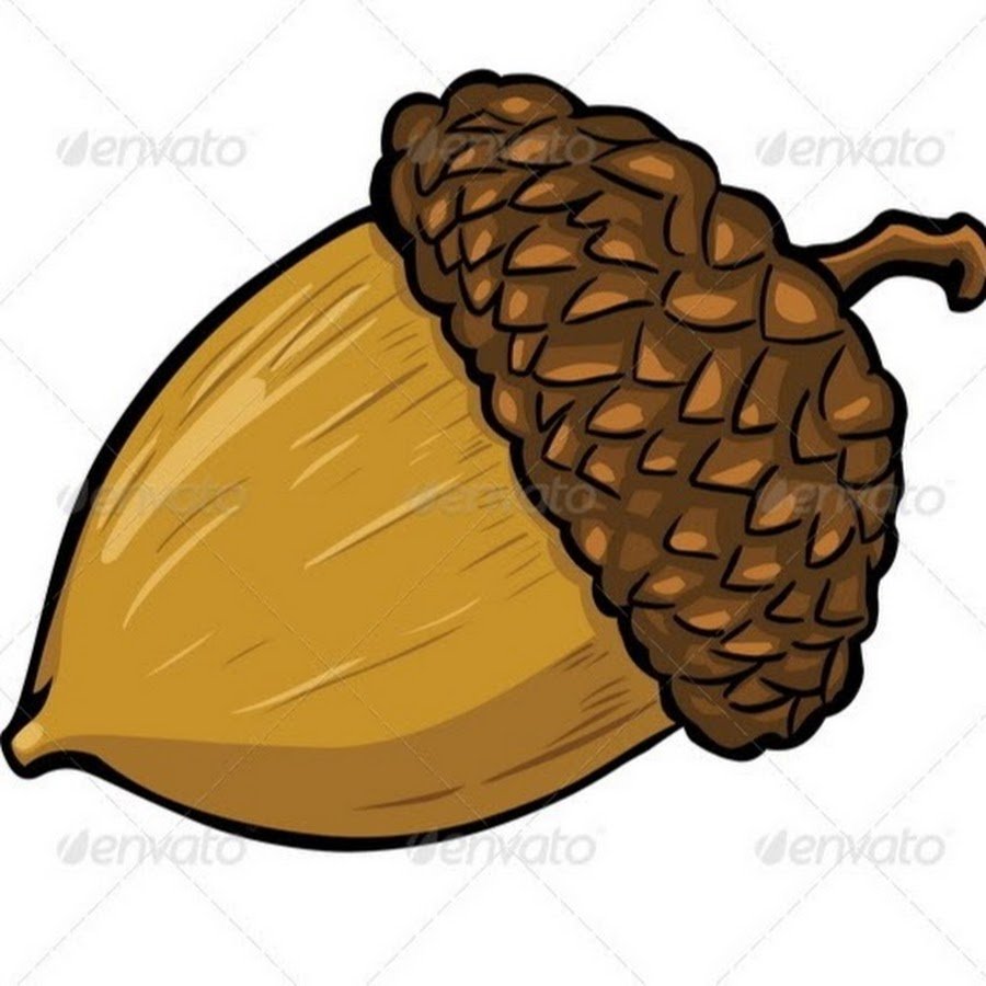 Орех на белом фоне мультяшный
