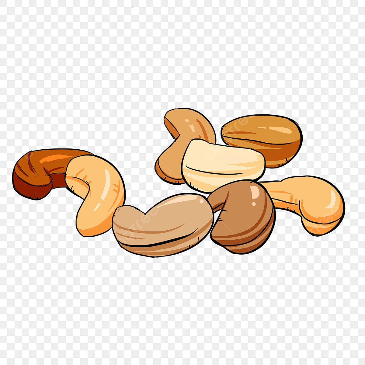 Орех кешью вектор