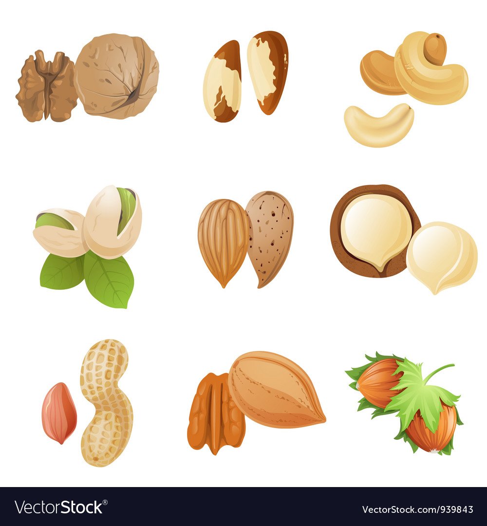 Орехи стилизация