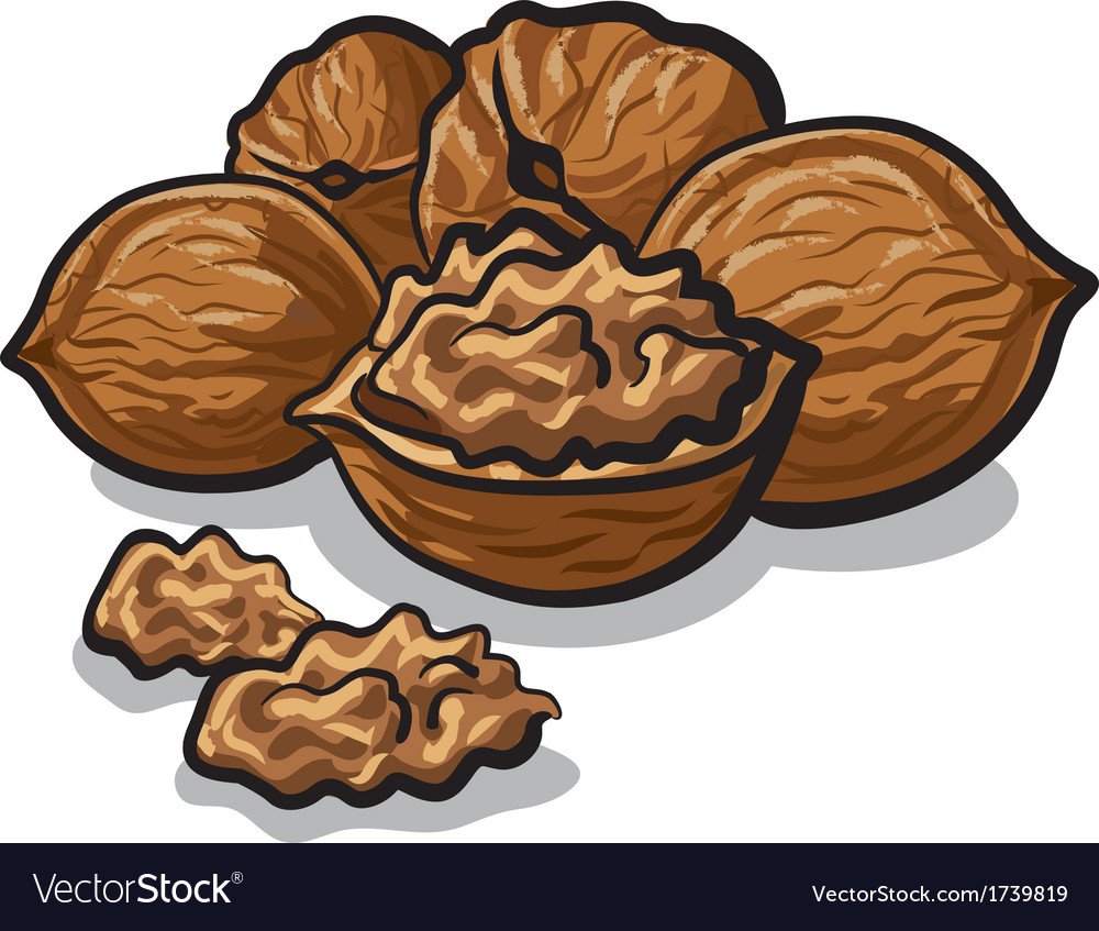 Грецкий орех мультяшный