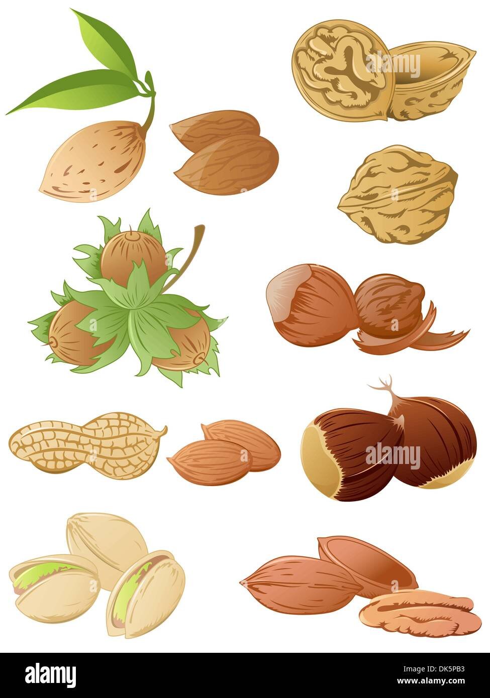 Стикеры орехов