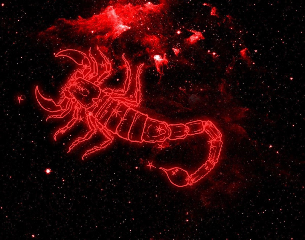 Скорпион вектор