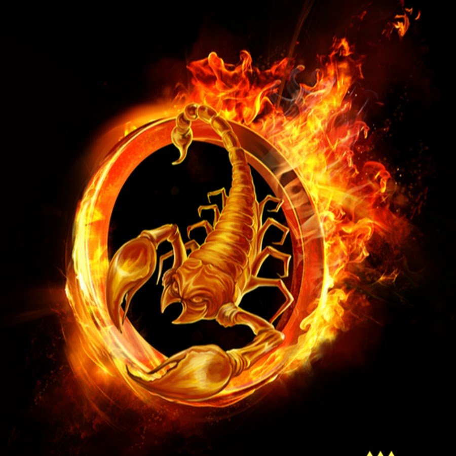 Скорпион на аву