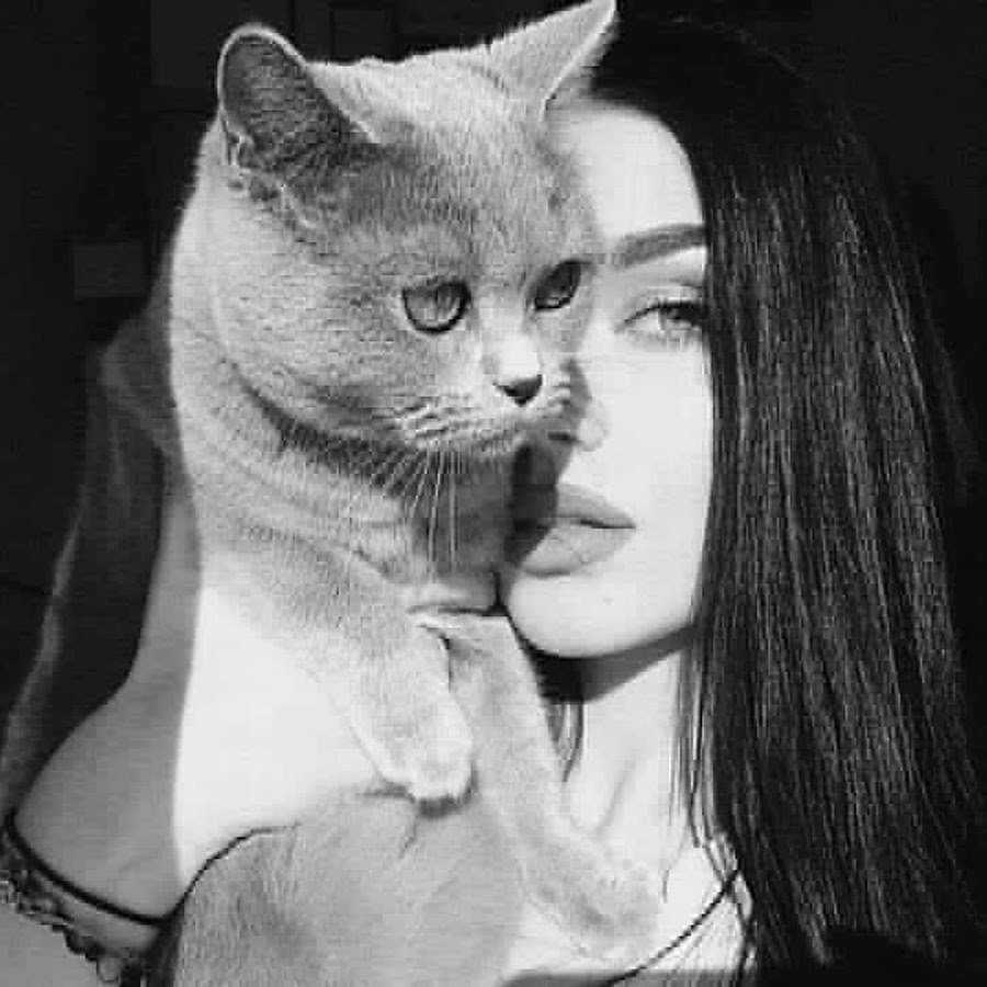 Брюнетка с кошкой