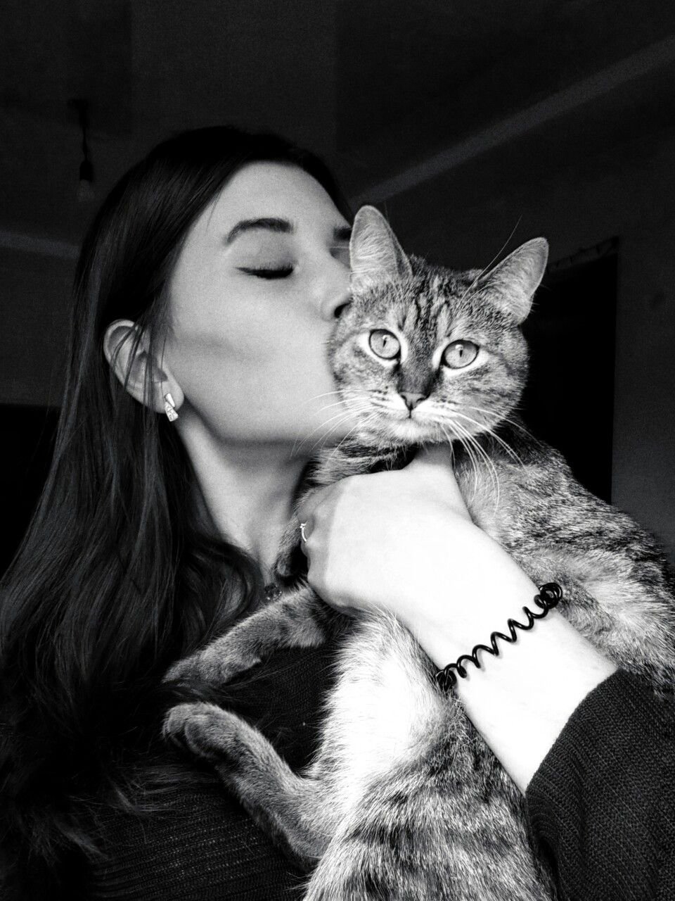 Злой черный кот