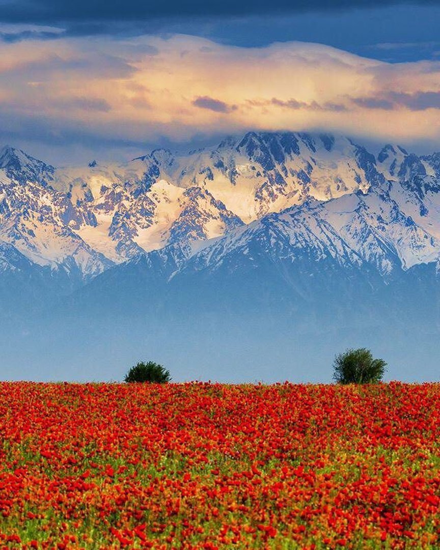 Озеро Кольсай Казахстан