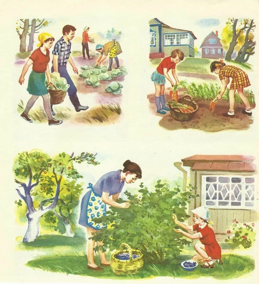 Рассказ по картинкам