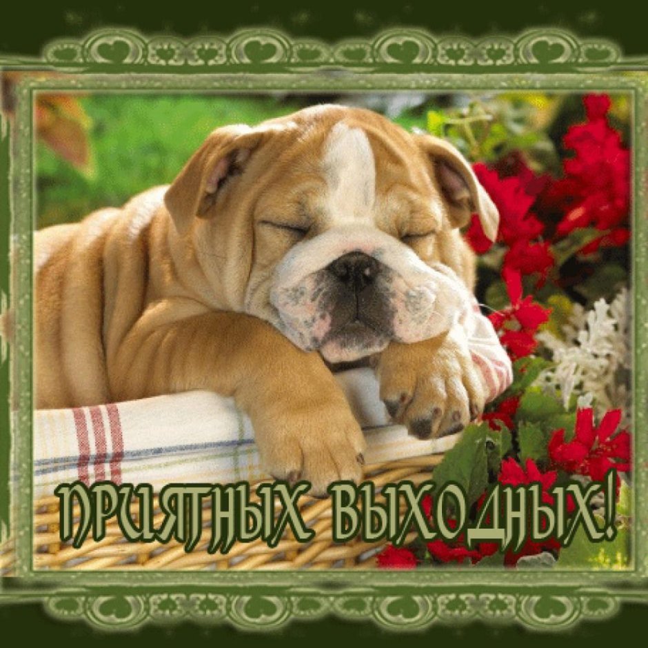 Открытки с субботой прикольные