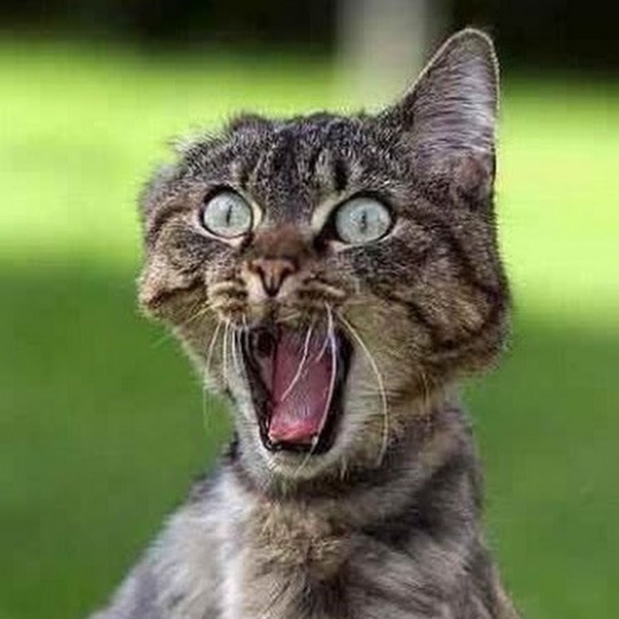 С выходом на работу после отпуска прикольные