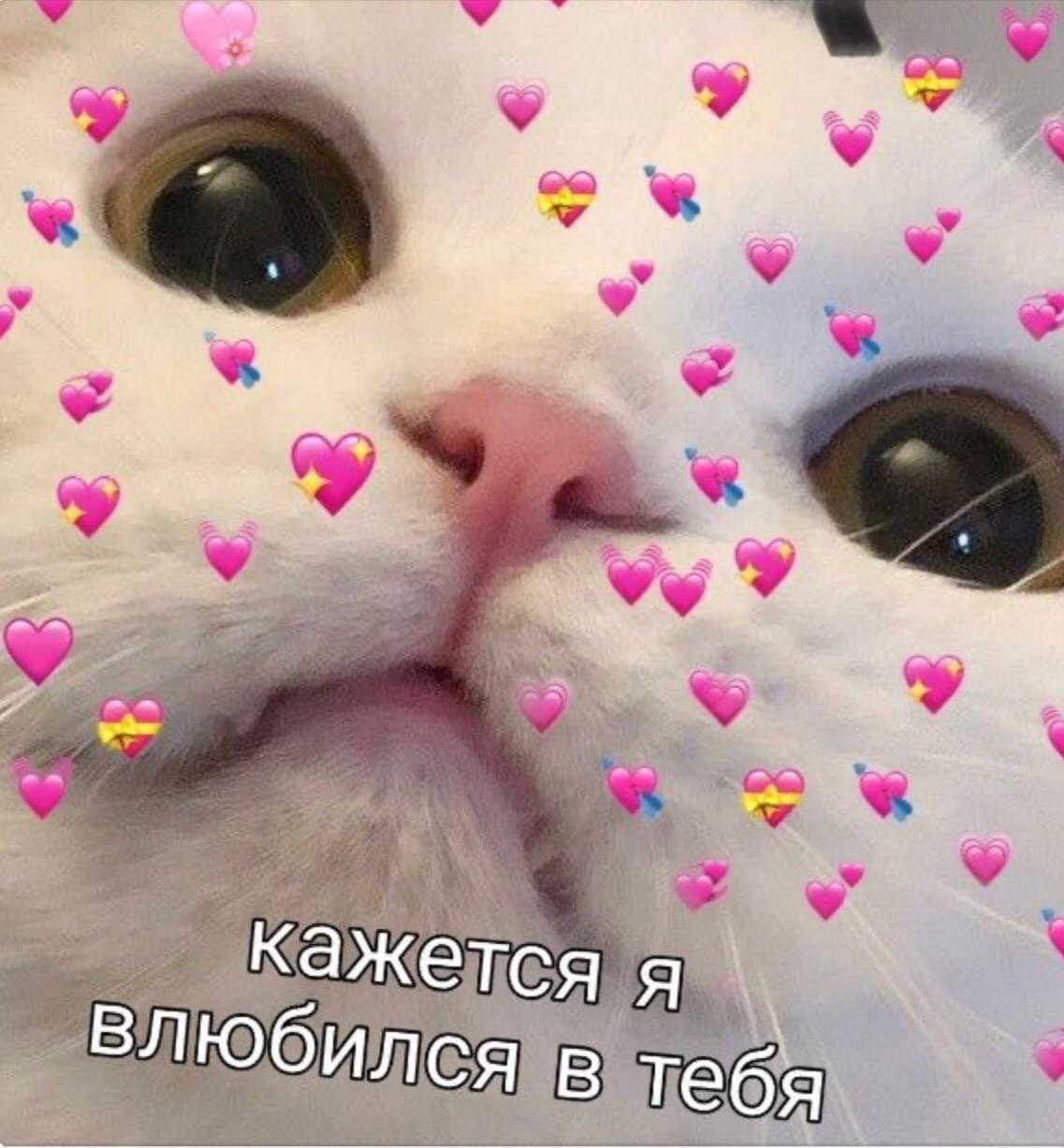 Вот я и проснулась