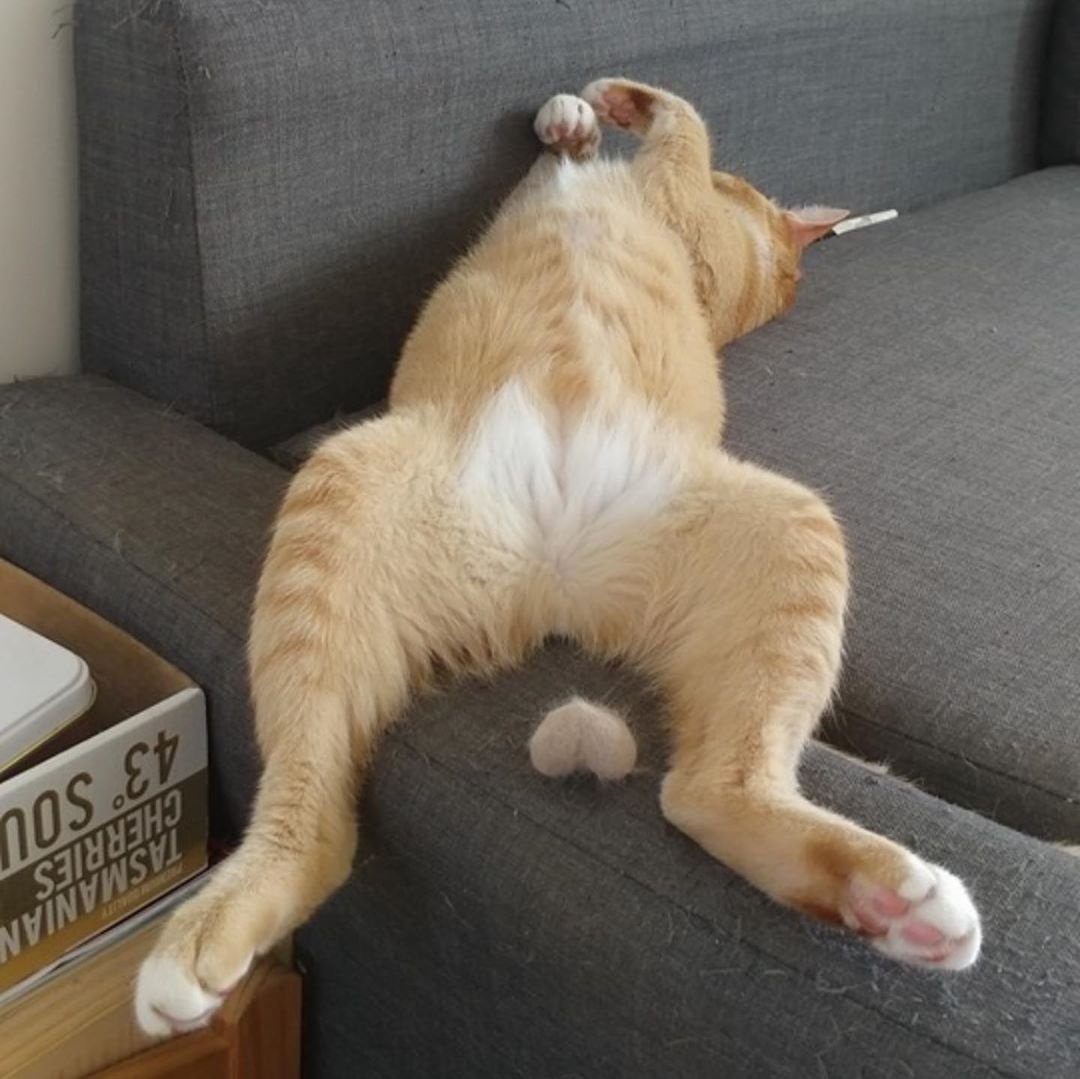 Грустный чемодан